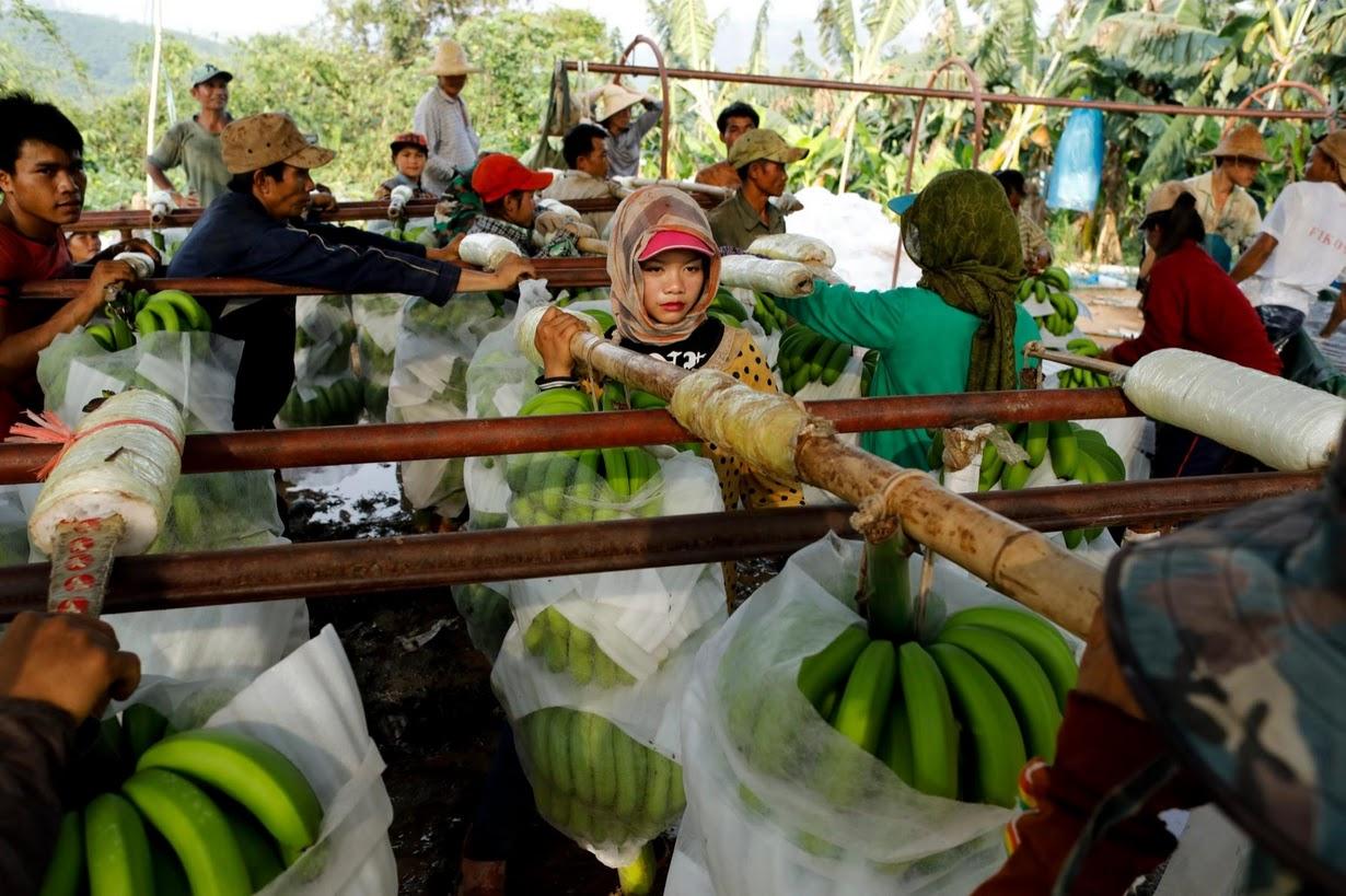 狼人大香伊蕉國產(chǎn)www亞洲,優(yōu)化落地創(chuàng)新升級_星航版30.04.39