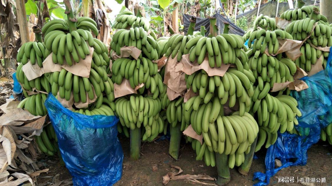 狼人大香伊蕉國產(chǎn)www亞洲,優(yōu)化落地創(chuàng)新升級_星航版30.04.39