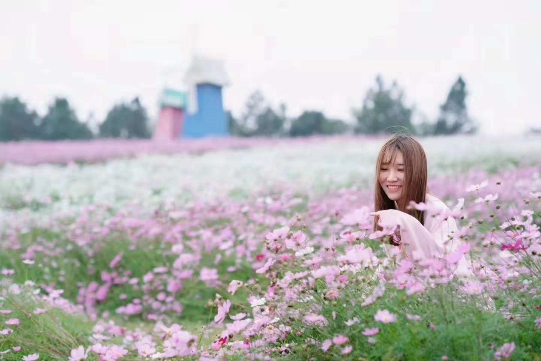 國產(chǎn)亂婦亂子視頻在播放,操作邏輯系統(tǒng)升級_文藝版66.60.19