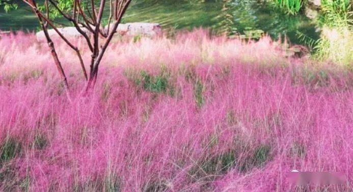 隱于世 第7頁(yè)