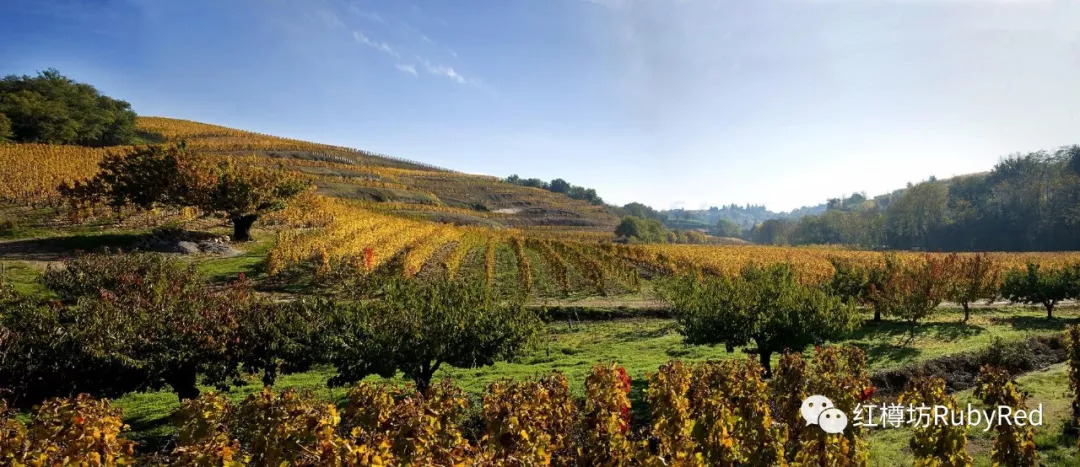 精品亂子倫一區(qū)二區(qū)三區(qū),實踐導向路徑優(yōu)化_睿智版38.02.93