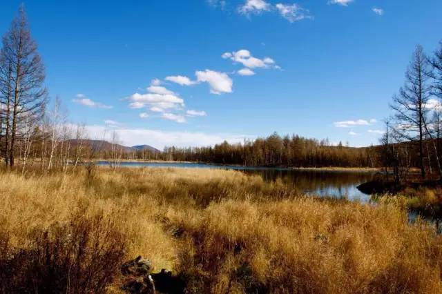 精品亂子倫一區(qū)二區(qū)三區(qū),實踐導向路徑優(yōu)化_睿智版38.02.93