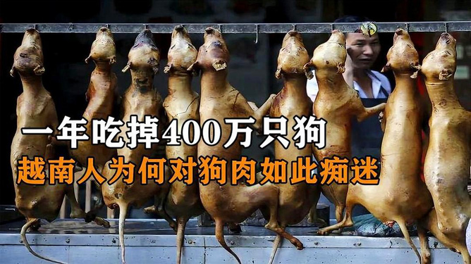 人禽雜交18禁網(wǎng)站免費,科學規(guī)劃精準升級_睿航版36.26.93