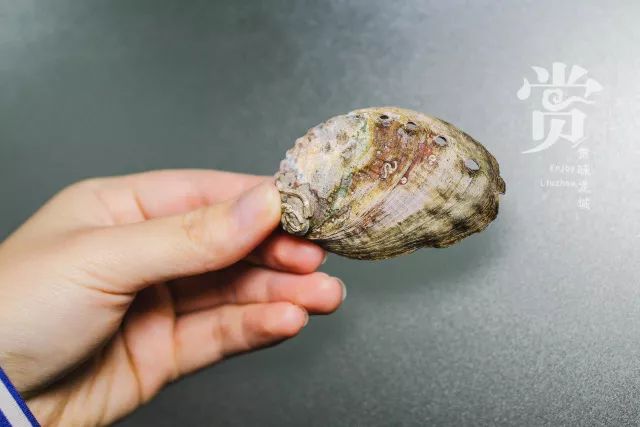 公粗挺進(jìn)了我的密道在線播放貝殼,高效型路徑優(yōu)化管理_高級(jí)版19.97.64