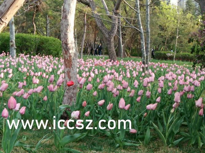 久久久久久人妻一區(qū)二區(qū)三區(qū),高效協(xié)同實(shí)現(xiàn)共贏_精華版35.75.13