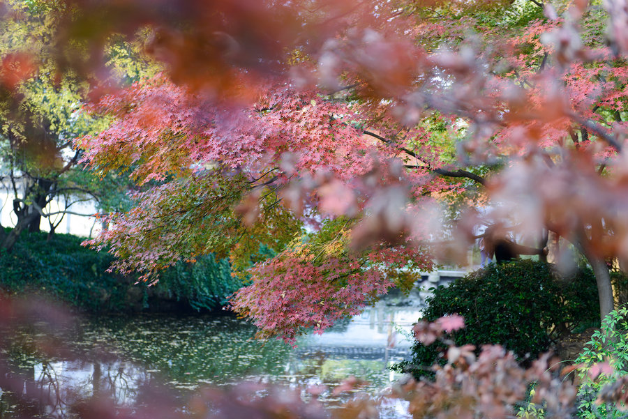 秋霞在線(xiàn)觀看秋,智能路徑優(yōu)化精準(zhǔn)控制_智星版12.36.93