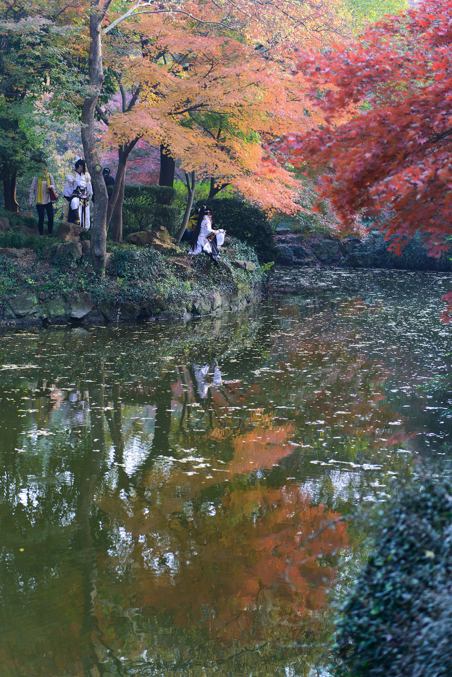 秋霞在線(xiàn)觀看秋,智能路徑優(yōu)化精準(zhǔn)控制_智星版12.36.93