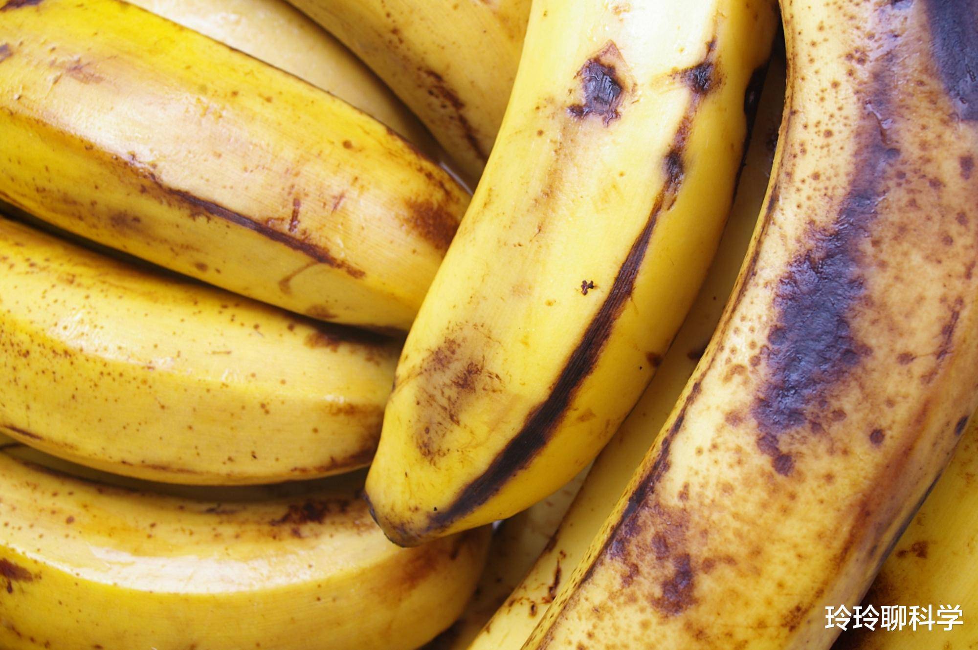 精品香蕉久久久午夜福利,完善管理全面掌控_領航版31.08.97