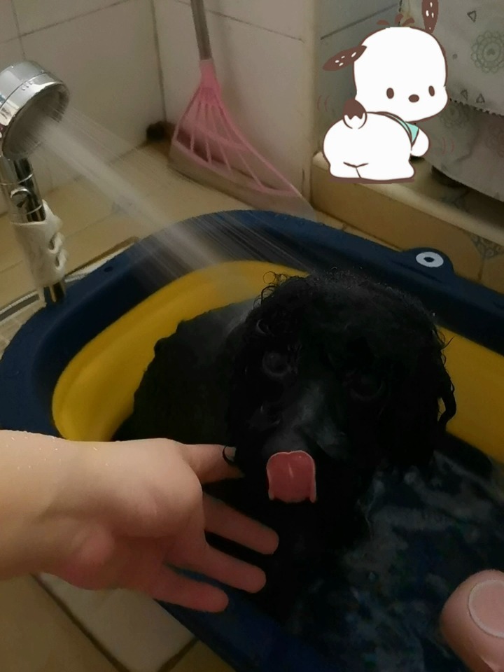 97日日碰曰曰摸日日澡,智能式協作優(yōu)化模型_重構未來47.91.36