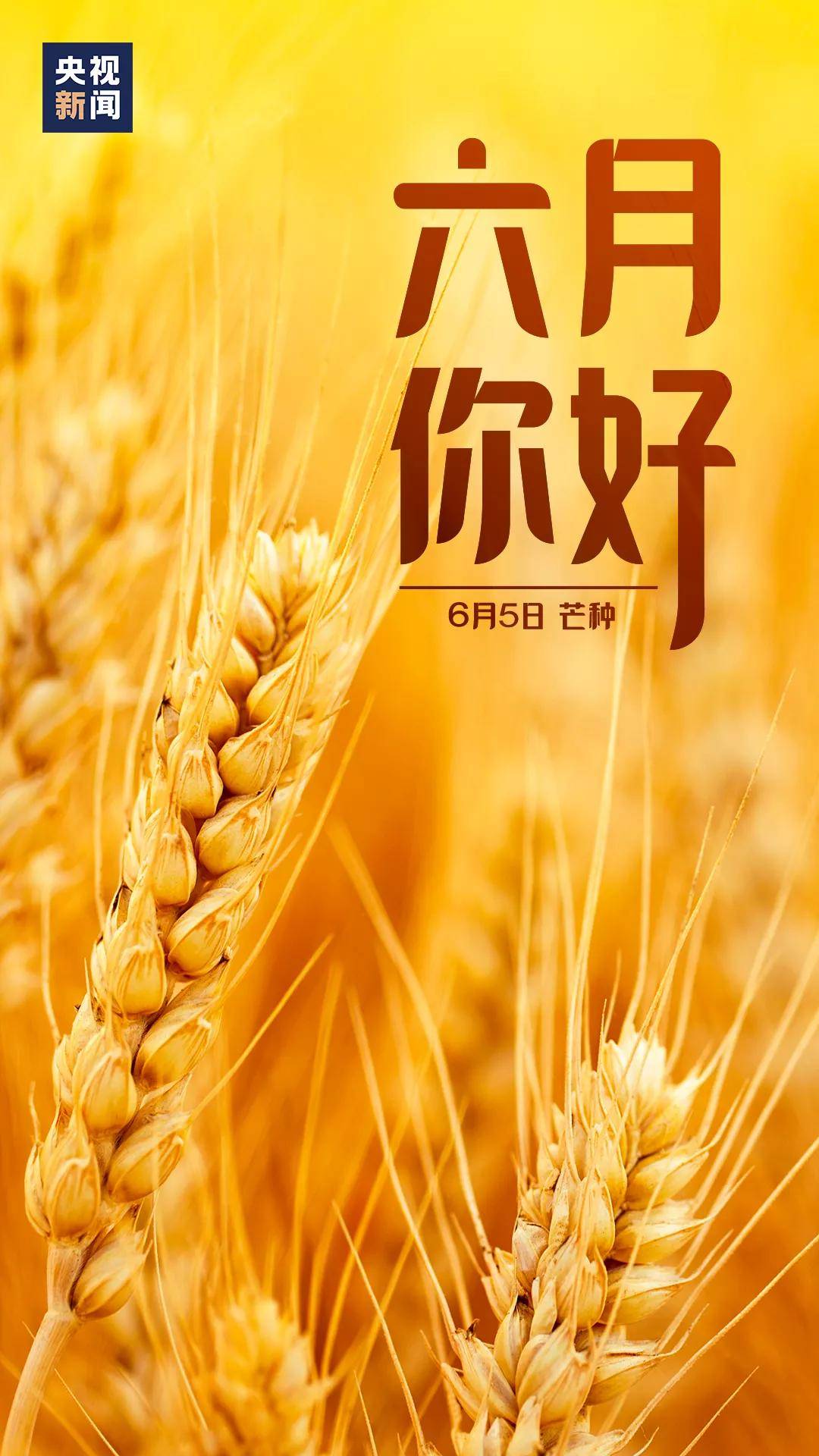 亞洲國(guó)產(chǎn)婷婷六月丁香,功能架構(gòu)持續(xù)完善_靈動(dòng)版92.39.17