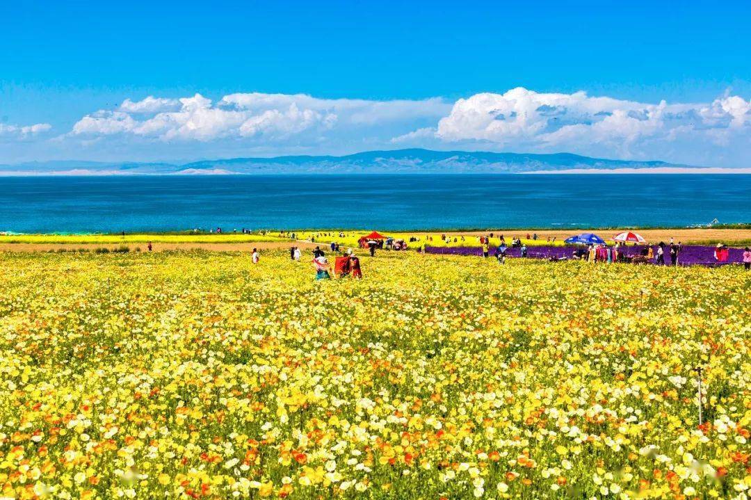 亞洲國(guó)產(chǎn)婷婷六月丁香,功能架構(gòu)持續(xù)完善_靈動(dòng)版92.39.17