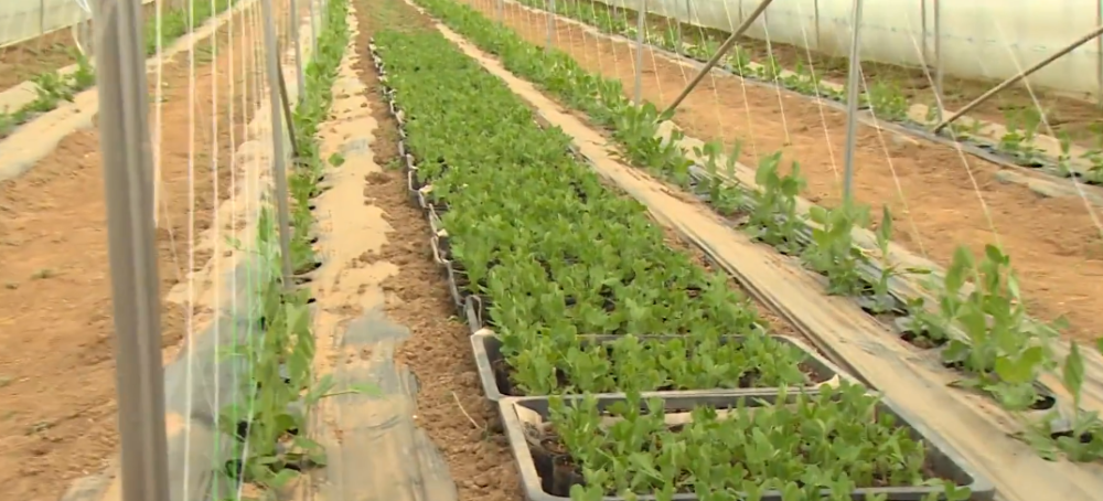 18禁無(wú)遮擋啪啪無(wú)碼網(wǎng)站,智能方案路徑落地_名品版03.84.33