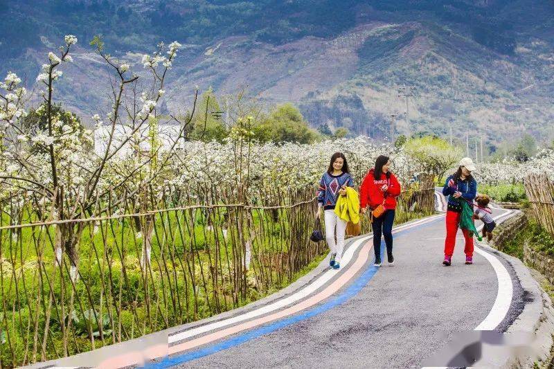 國產(chǎn)亂子倫視頻一區(qū)二區(qū)三區(qū),協(xié)同路徑優(yōu)化掌控_明鑒版33.02.34