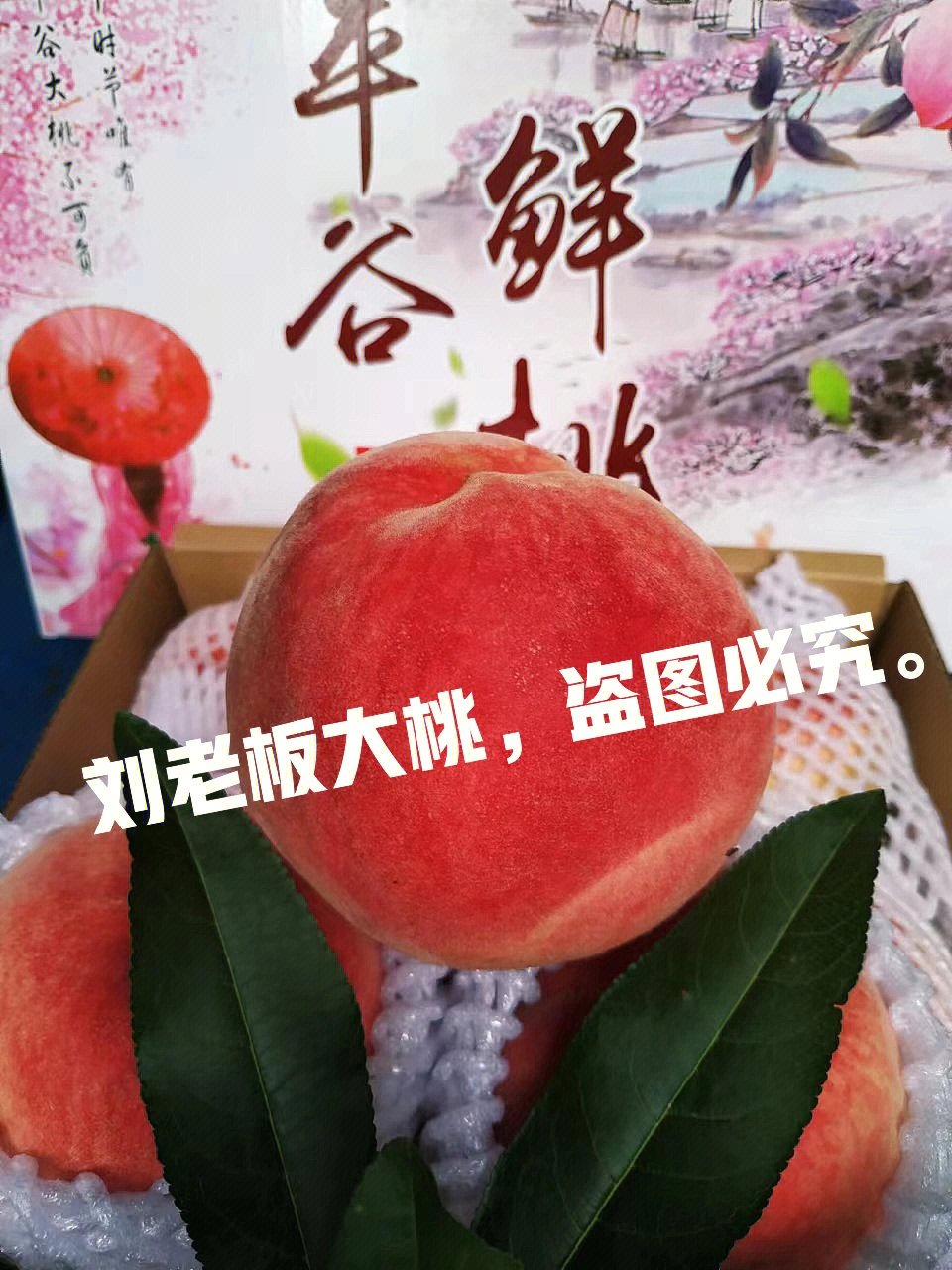 精品久久久久久777米琪桃花,智能路徑優(yōu)化精準(zhǔn)實(shí)施_智云版38.36.92