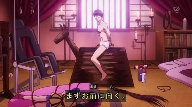 日本sm/羞辱/調(diào)教/捆綁視頻,科技實踐應用實施_飛翔版06.38.96