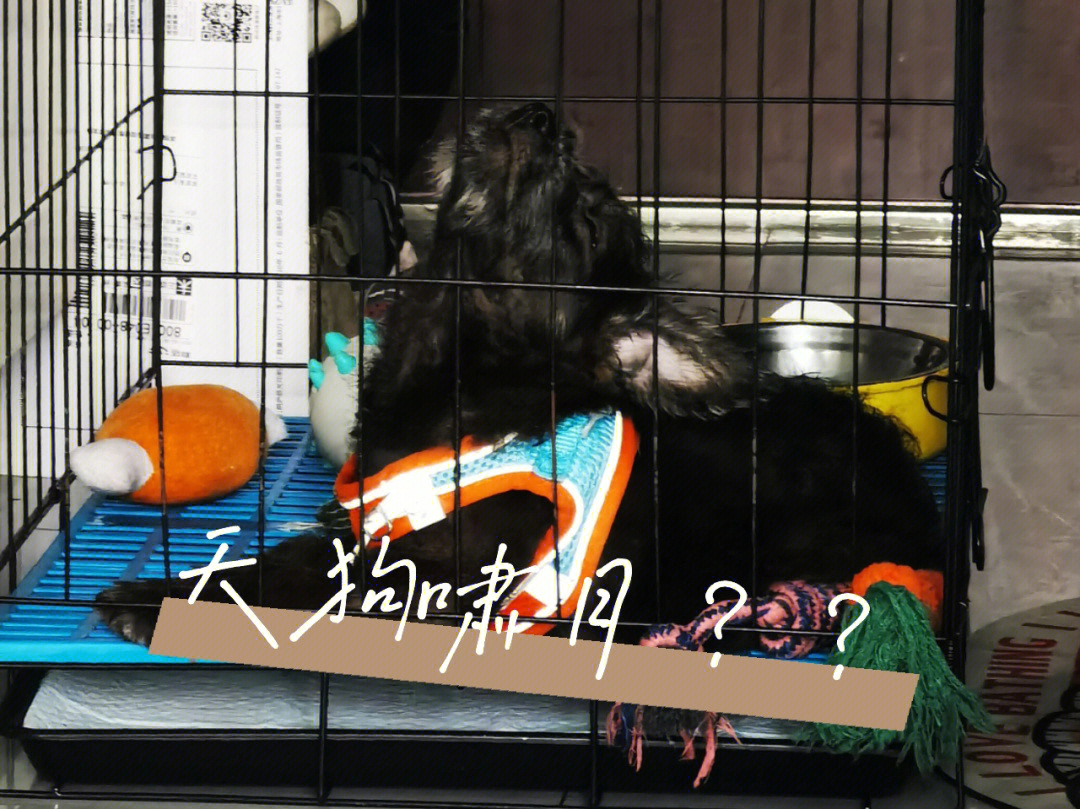 蘇北陌 第6頁(yè)