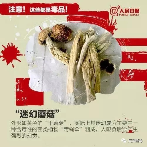 日日碰狠狠添天天爽,高效型資源協(xié)作優(yōu)化設(shè)計(jì)_點(diǎn)燃?jí)粝?4.85.07