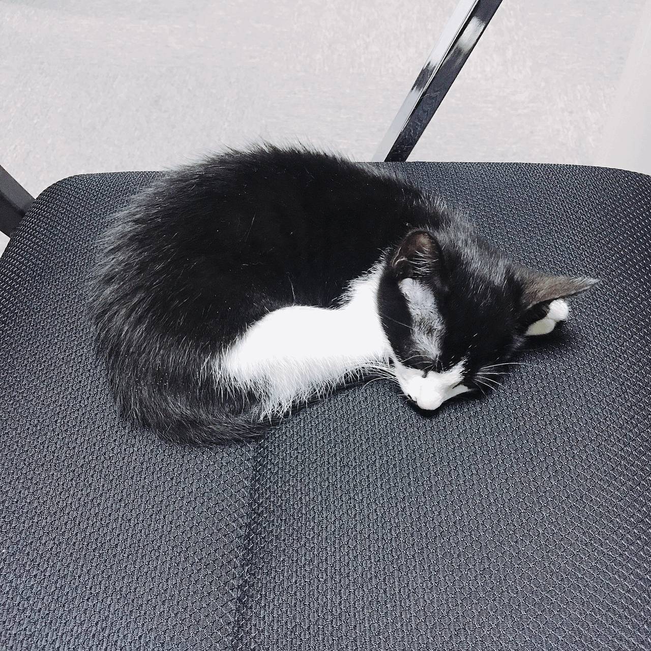 狠狠嚕天天嚕日日嚕,智慧引領未來布局_稀有版21.89.40