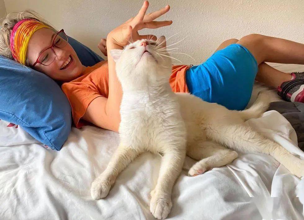 狠狠嚕天天嚕日日嚕,智慧引領(lǐng)未來(lái)布局_稀有版21.89.40