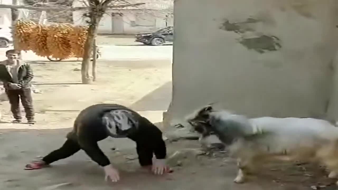 狠狠嚕天天嚕日日嚕,智慧引領(lǐng)未來(lái)布局_稀有版21.89.40