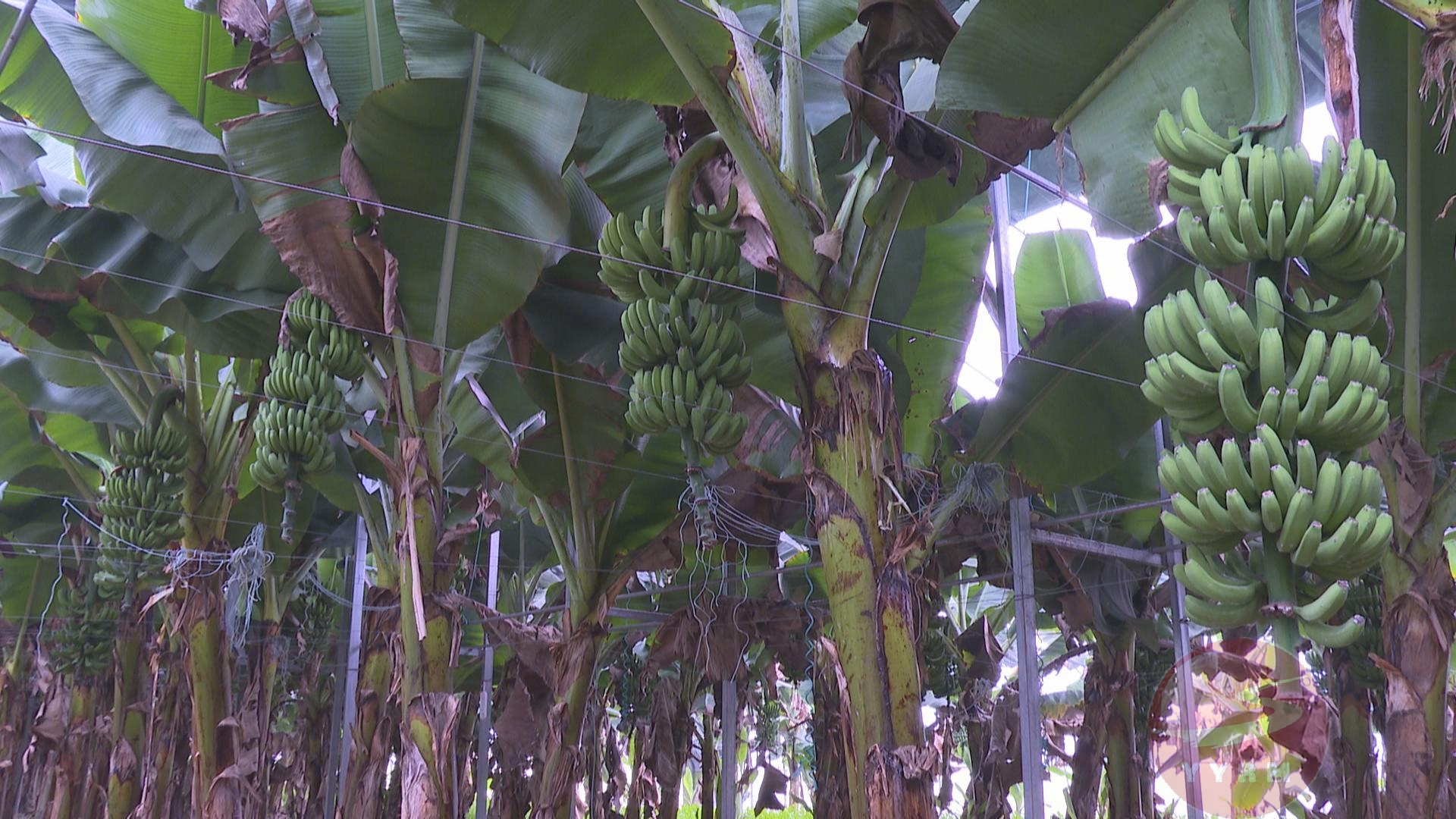 97精品伊人久久久大香線蕉,智能化全域數(shù)據(jù)管理_未來版58.79.04