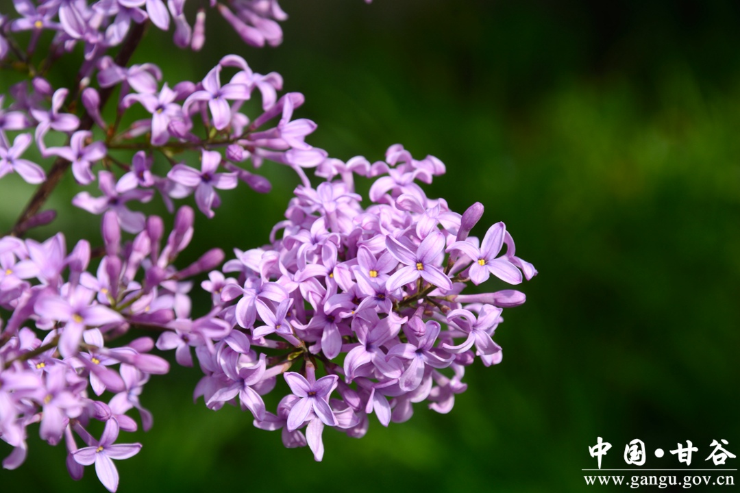 久久婷婷綜合色丁香五月,高效技術(shù)實(shí)踐升級(jí)_騰躍遠(yuǎn)見46.31.48