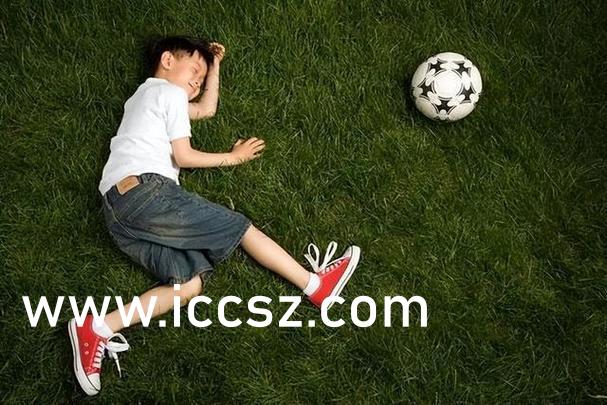 午夜福利av無碼一區(qū)二區(qū),高效路徑優(yōu)化精準方案分析_智聯版33.60.92