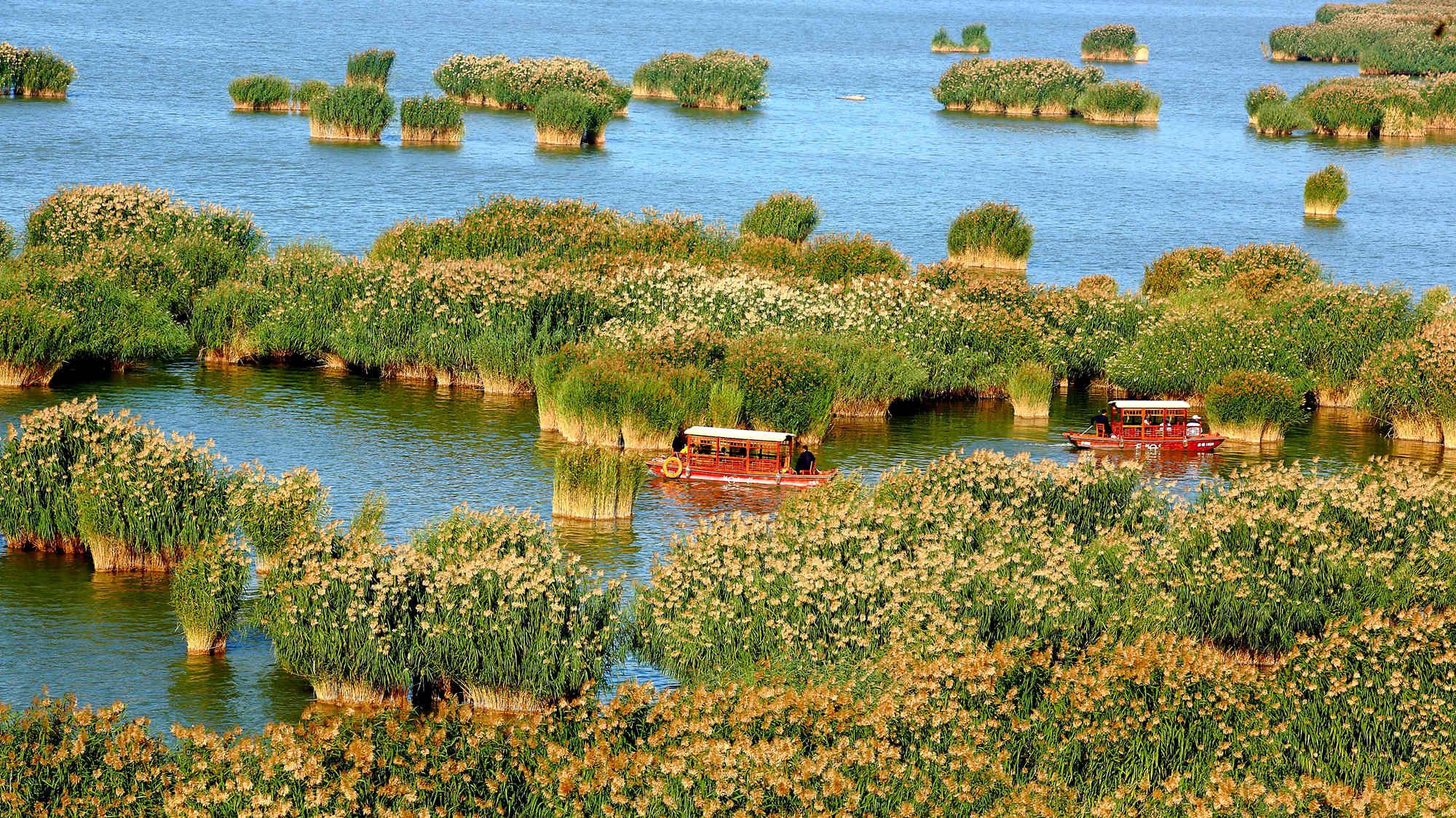 新媒體技術(shù)如何賦能觀眾沉浸式娛樂感受