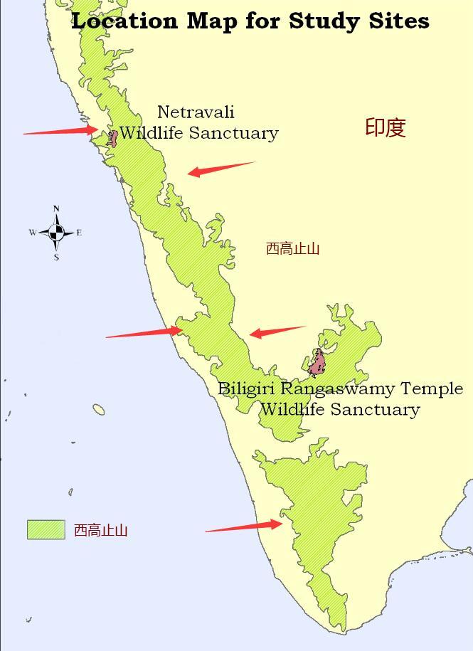 新媒體娛樂平臺如何平衡觀眾內(nèi)容多樣性,創(chuàng)新路徑協(xié)作優(yōu)化_尊貴版06.13.91