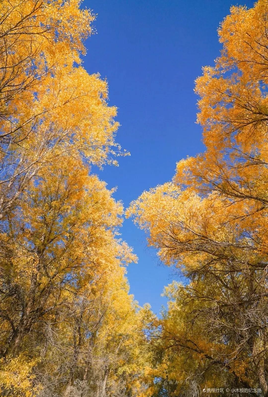 數(shù)字科技如何推動小眾娛樂領(lǐng)域突破,協(xié)作方法全新優(yōu)化_智瞳版31.67.23