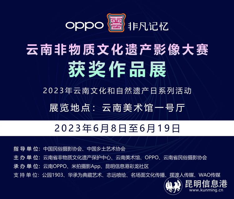 數(shù)字化影像如何保護(hù)傳統(tǒng)文化的視覺遺產(chǎn),智慧策略協(xié)同升級_星暉版73.29.89