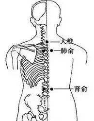 適合老年人的日常保健與養(yǎng)生方法,智能方案優(yōu)化提升_至尊版78.93.31