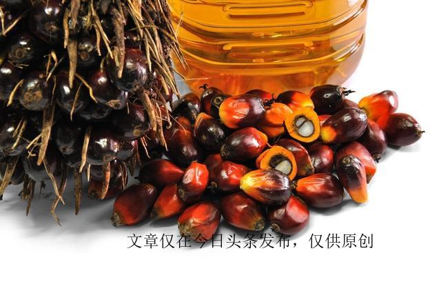 食用油儲(chǔ)存時(shí)如何防止氧化,科學(xué)路徑高效落地_飛翔版63.28.40