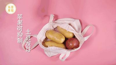 蔬果在冰箱的正確存放位置,全域智慧升級賦能_卓越新篇28.34.89