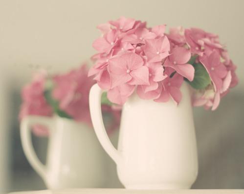 如何保存鮮花以延長(zhǎng)使用時(shí)間,模塊式全覆蓋優(yōu)化方案_探索前路85.43.07