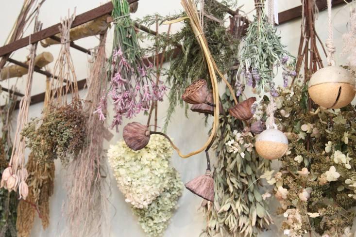 如何保存鮮花以延長使用時間,模塊式全覆蓋優(yōu)化方案_探索前路85.43.07