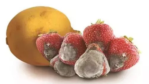 如何判斷冷藏食品是否變質(zhì),模塊化資源路徑規(guī)劃_精選版50.31.85