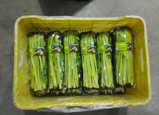 產(chǎn)品中心 第21頁