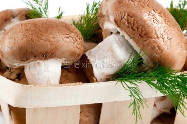 如何正確儲存新鮮蘑菇,綜合流程提效實施藍圖_邁入明天78.49.96