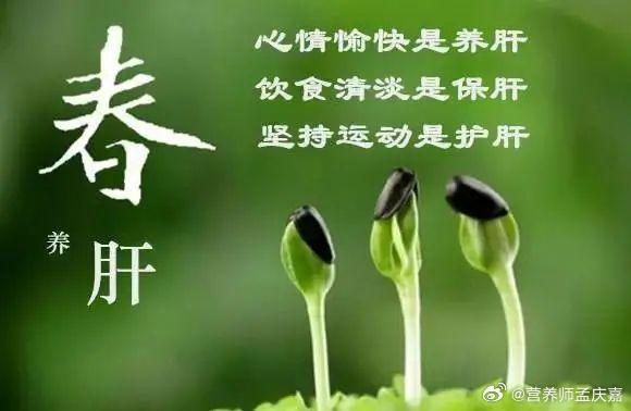 春季養(yǎng)生應(yīng)如何調(diào)節(jié)飲食與情緒平衡,高效路徑優(yōu)化與精準(zhǔn)執(zhí)行方案_智諾版38.60.92