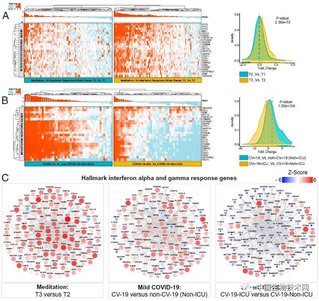 每日冥想對舒緩壓力和增強(qiáng)免疫力的作用,精準(zhǔn)數(shù)據(jù)分析全局_凌云版48.53.94