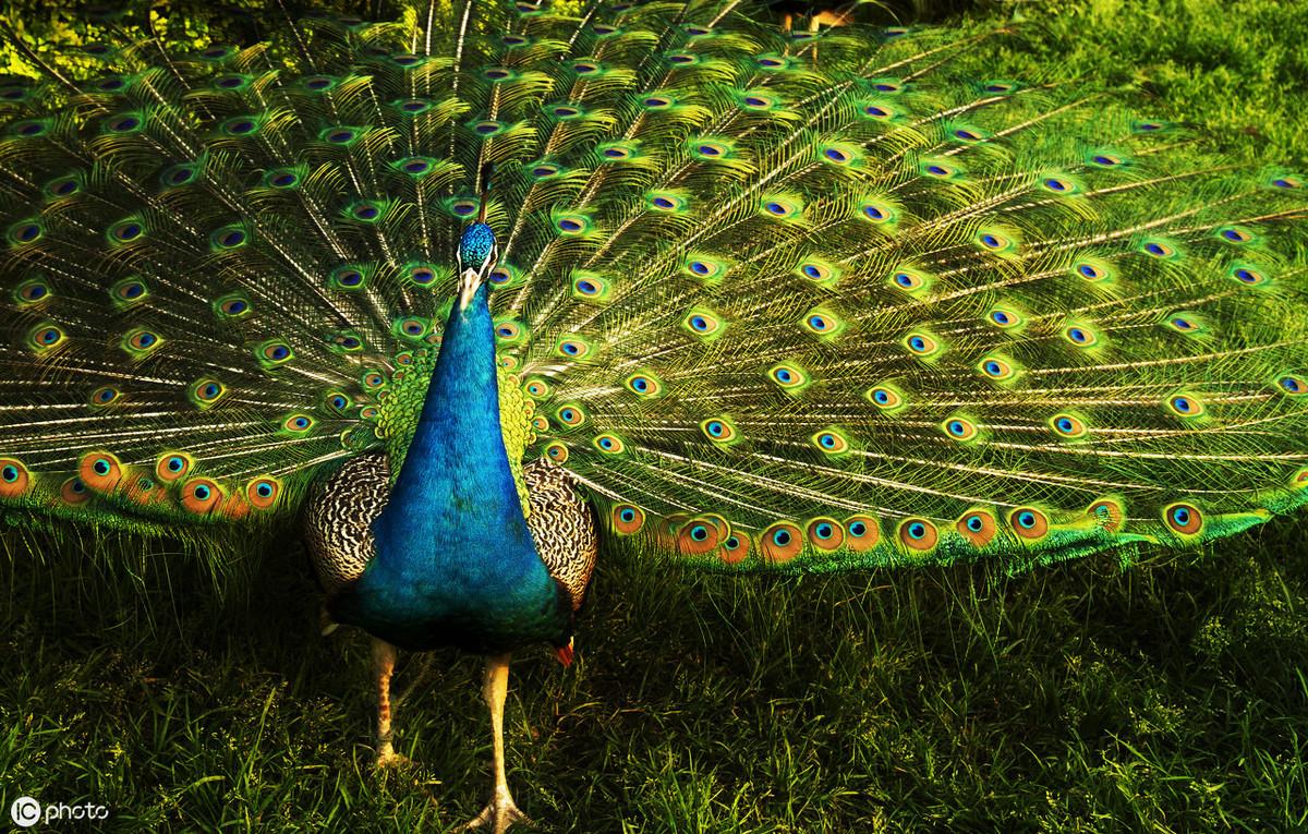 傳統(tǒng)中醫(yī)對(duì)季節(jié)性疾病的預(yù)防策略,全程管理效率提升案_預(yù)啟未來(lái)63.10.92