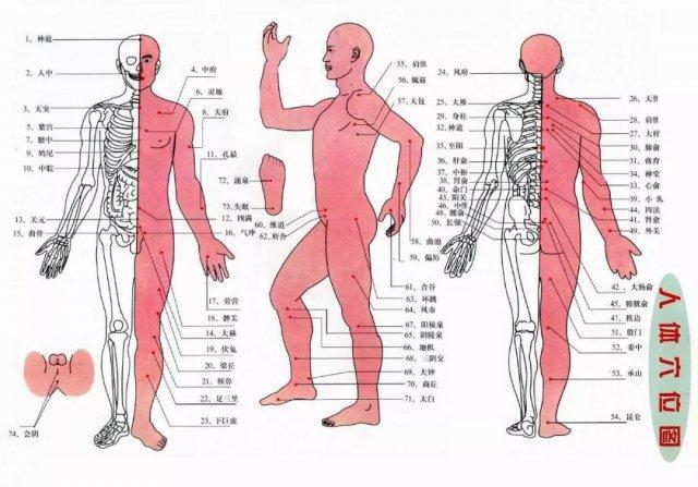 適合老年人的全身經(jīng)絡(luò)按摩圖解與操作,精準(zhǔn)數(shù)據(jù)全面掌控_卓越版58.66.92