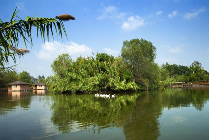 平臺治理在共享經濟中的重要性