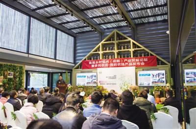 共享經(jīng)濟(jì)的低碳化發(fā)展?jié)摿Ψ治?流程路徑高效改進(jìn)_瑞享版33.71.86