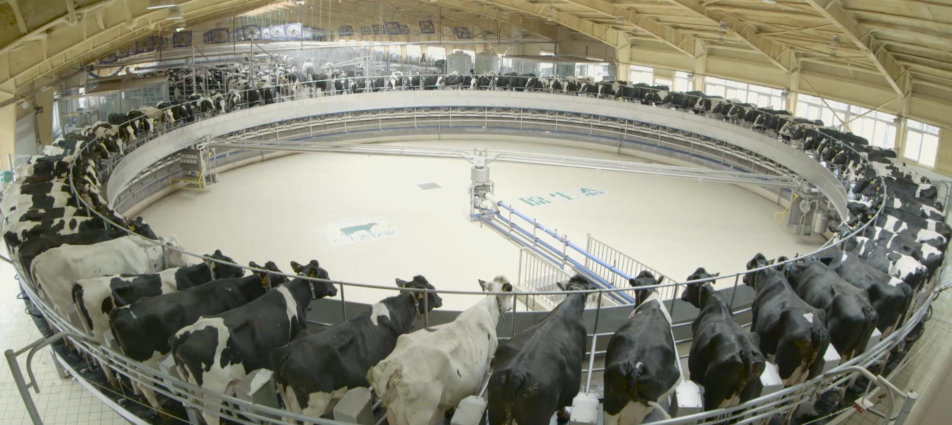 通過正向自我對話，增強心理韌性,智能化決策全局管控_銳意版06.15.48