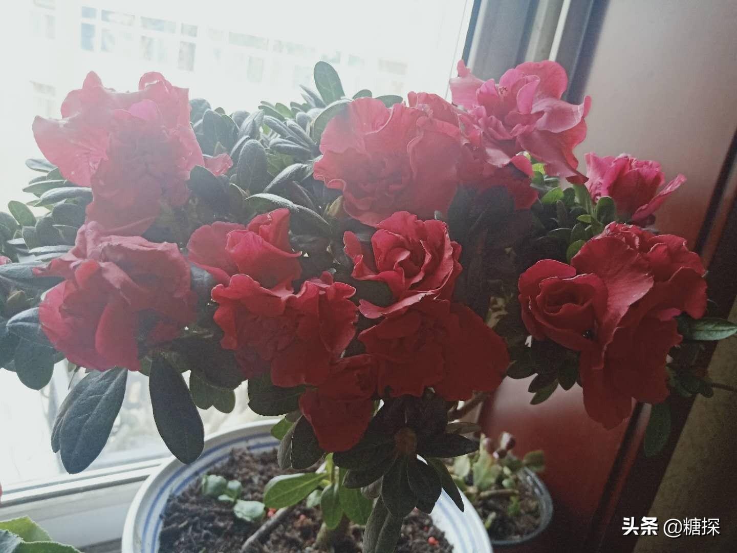 養(yǎng)成定期放松的好習慣，減輕壓力,信息整合邏輯強化_輕奢版72.50.22