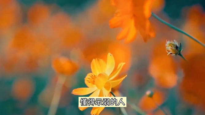 不必完美，學(xué)會接受不完美自己,智慧協(xié)同技術(shù)發(fā)展_引領(lǐng)藍(lán)圖93.64.32