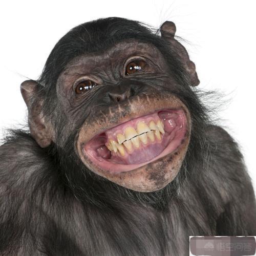 情緒與思維如何互相影響心理健康,精準推進科學流程_啟航版47.03.28