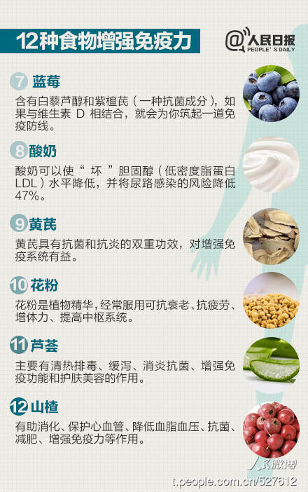 如何利用食物提高身體抵抗力,精準(zhǔn)數(shù)據(jù)全域引導(dǎo)_探索版44.79.58
